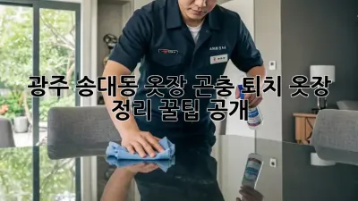 광주 송대동 옷장 곤충 퇴치🧹! 옷장 정리 꿀팁 공개✨