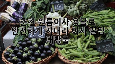 🚚 춘천 원룸이사, 용달로 안전하게! 지내리 이사 꿀팁 대방출 🍯