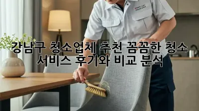 강남구 청소업체 추천: 꼼꼼한 청소 서비스 후기와 비교 분석
